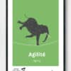 affiche-agilite Affiche Anne Onyme