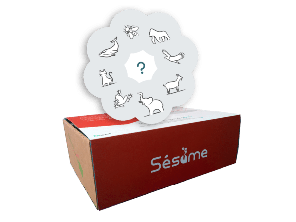 sesame_photo_agile_kezako Sésame box manager agile - Devenir agile kezako ?