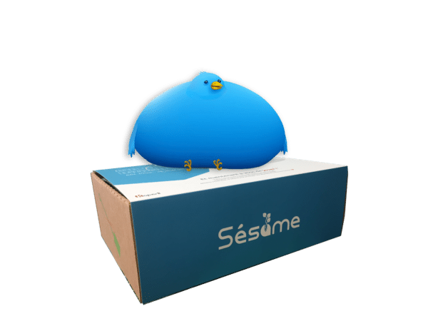 sesame_photo_infobesite Sesame Box Culture Digitale – Infobésité, veille et déconnexion