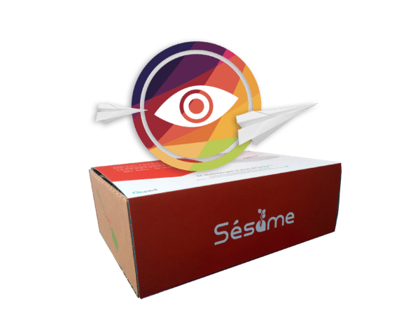 sesame_box_manager_vision_strategique_agile Sesame Box Manager Agile – Partager une Vision Commune