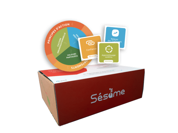 vignette_sesame_manager_valeurs Sesame Box Manager Agile – Recentrer son équipe autour de valeurs communes